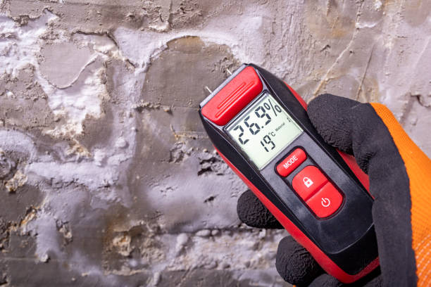 Best Mold Remediation  in Rosenberg, TX