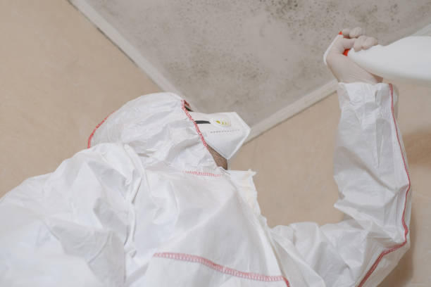 Best Commercial Mold Removal  in Rosenberg, TX