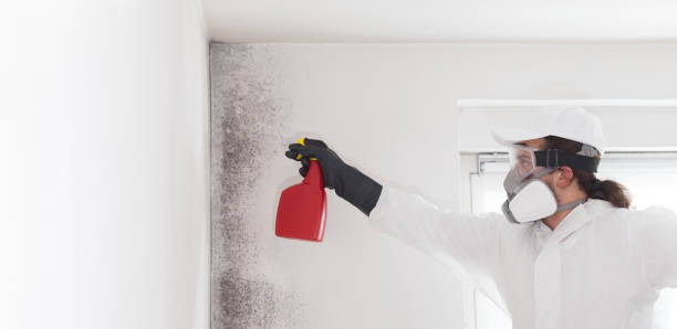 Best Mold Testing  in Rosenberg, TX