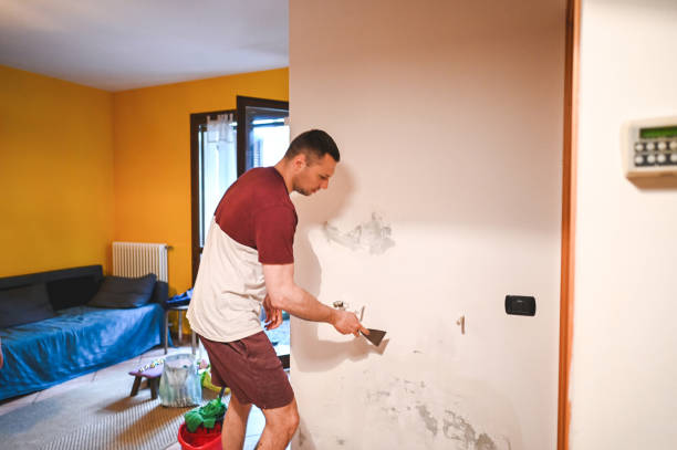 Best Black Mold Removal  in Rosenberg, TX