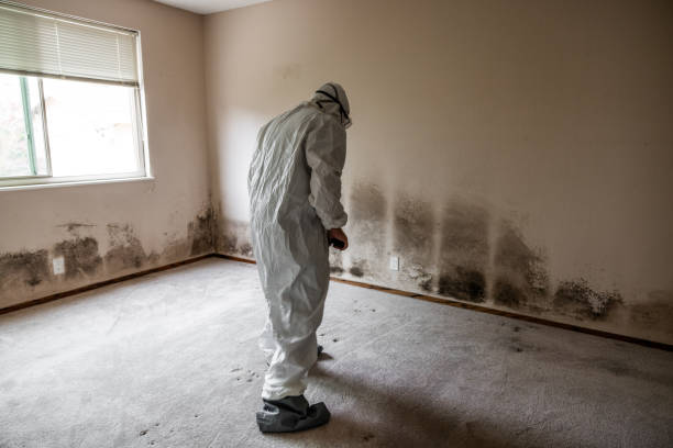 Best Mold Testing  in Rosenberg, TX