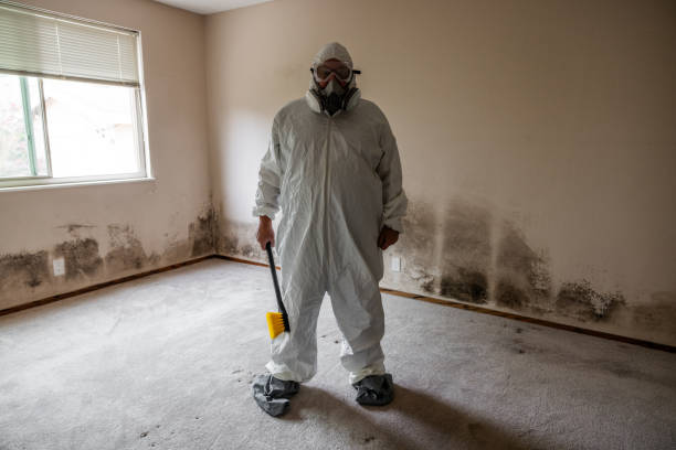 Best Crawl Space Mold Removal  in Rosenberg, TX